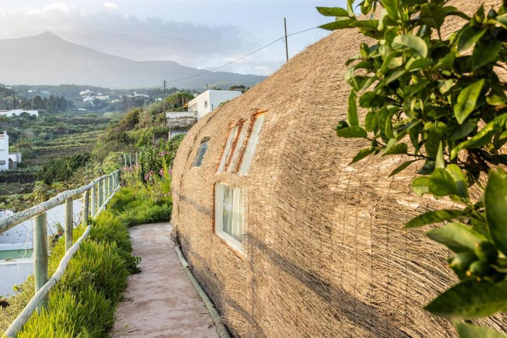 Espacio Antares Icod De Los Vinos Exterior photo